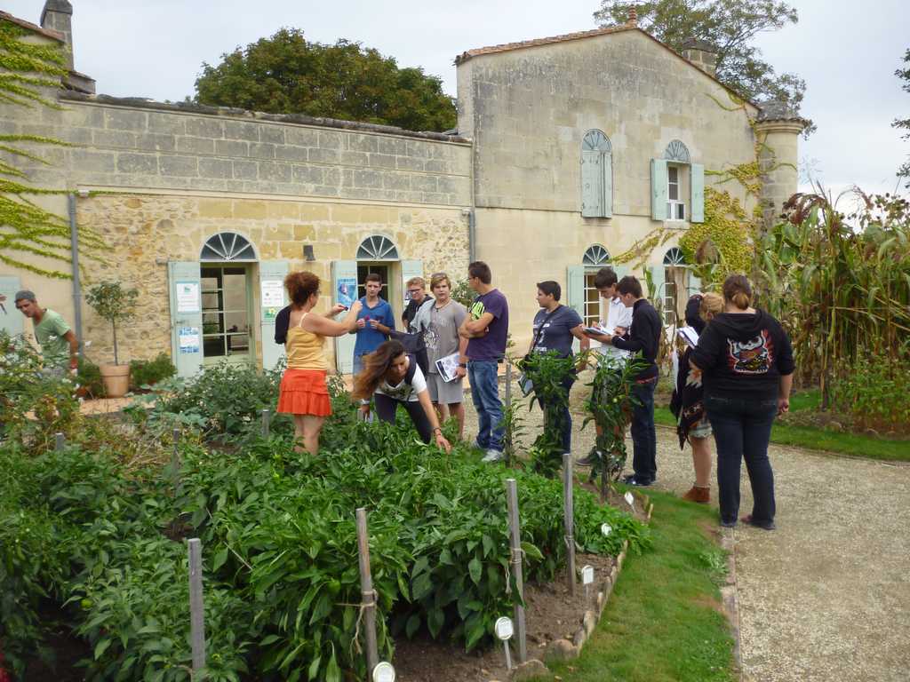 Lire la suite à propos de l’article oh légumes oubliés