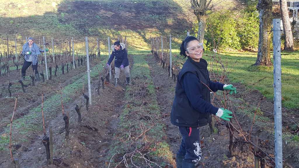 Lire la suite à propos de l’article Tirage des bois et fleuristerie en 2° Productions Horticoles