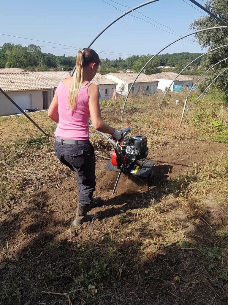 Lire la suite à propos de l’article Initiation pratique en horticulture